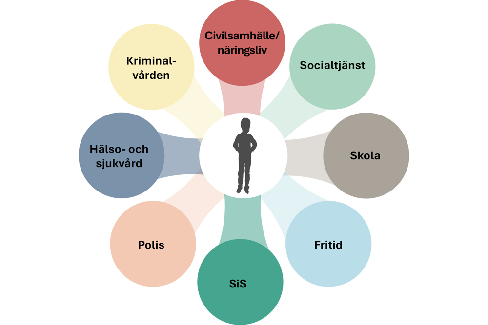 Illustration som visar vilket skyddsnät en ung person ska få genom Bob.