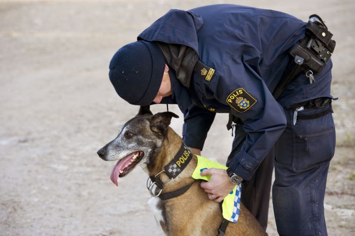 hundförare som klappar om sin hund