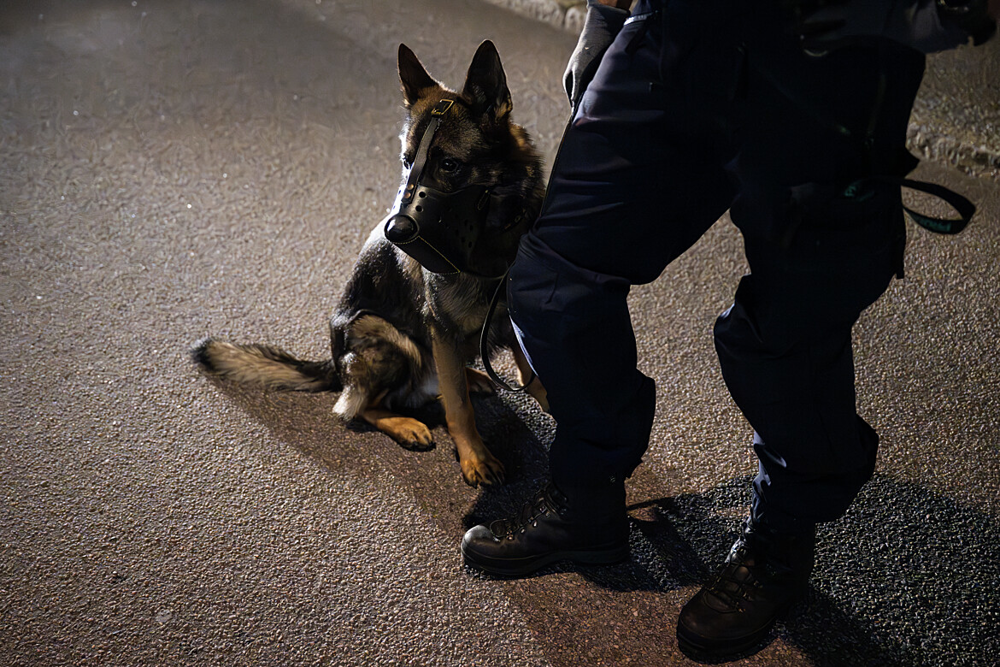 Bilden föreställer en polishund med munkorg