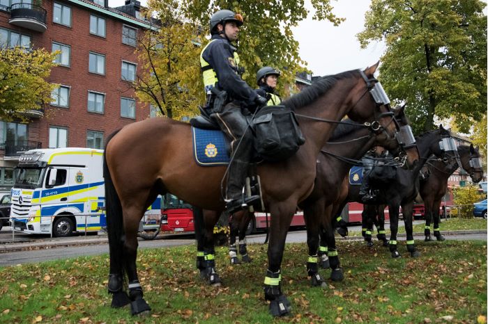 Sex polisryttare på sina polishästar uppställda på rad på gräset. Foto.