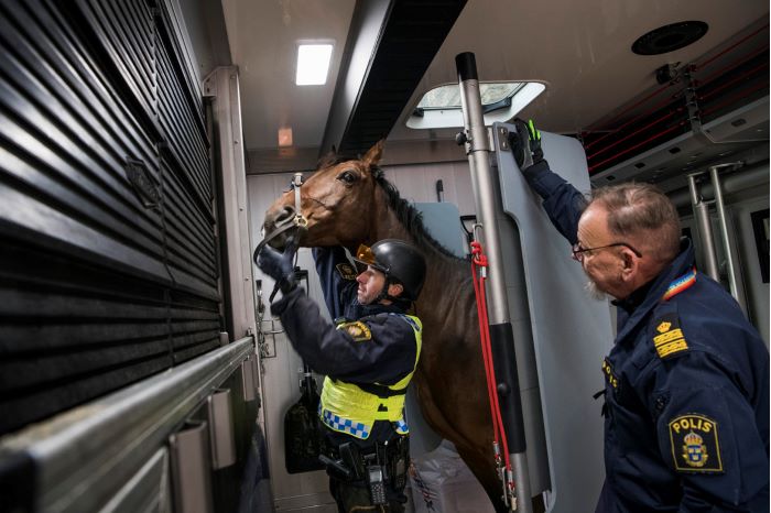 En polisryttare sätter på betslet på sin häst medan kommissarie Anders ”Jasse” Jansson står och tittar på. Foto.