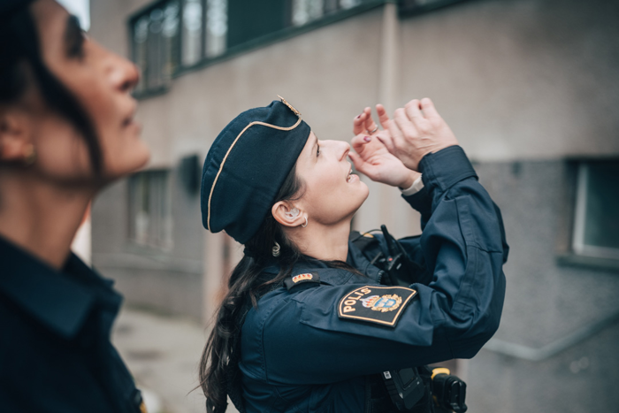 Bild på Dardi som tittar upp