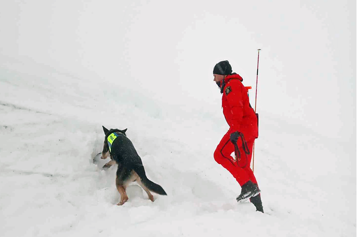 Polis och hund under övning i lavinräddning