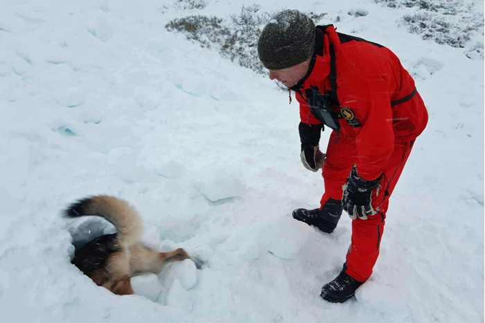 Hund och förare söker efter person i en lavin