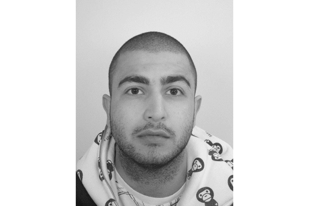 Svartvit foto på Arash Zargarian. På bilden har han mörkt, snaggat hår. Han har på sig en ljus tjocktröja med tecknade apor på.