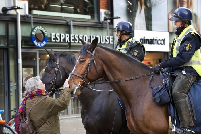 poliser till häst möter medborgare.