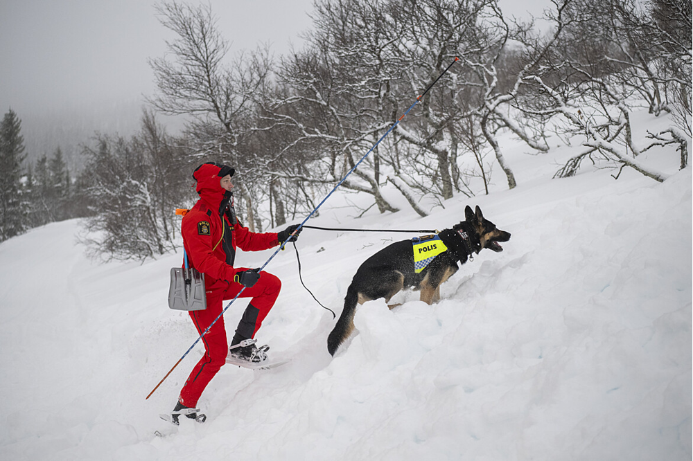 Fjällräddare och hund under lavinsök