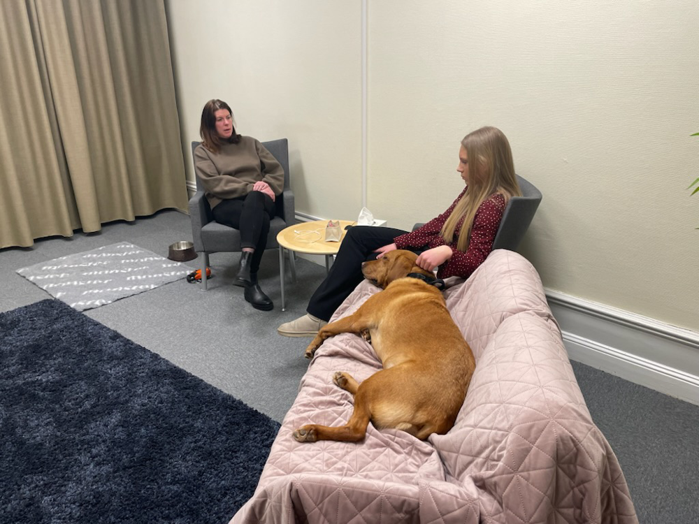 Två personer, en kvinna och en ung flicka, sitter mitt emot varandra i varsin fåtölj. Bredvid flickan står en soffa med ett rosa täcke som en gul labrador ligger på