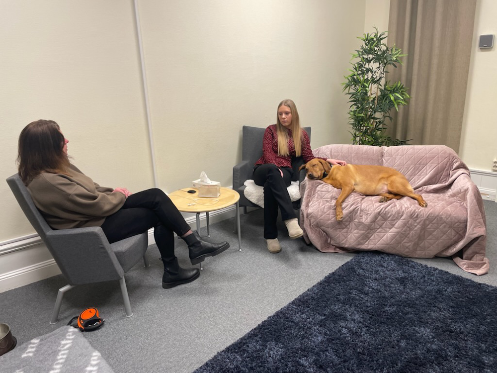 Två personer, en vuxen kvinna och en ung flicka, sitter i varsin fåtölj snett emot varandra. Bredvid flickan, på en rosa filt i en soffa, ligger en gul labrador