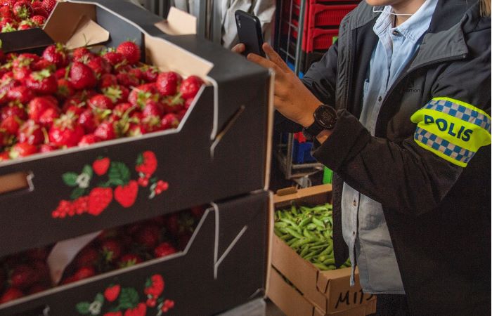 Insatsen genomfördes genom arbetsplatsinspektioner i region Stockholm, Mitt och Bergslagen. Ett 15-tal arbetsplatser inspekterades.