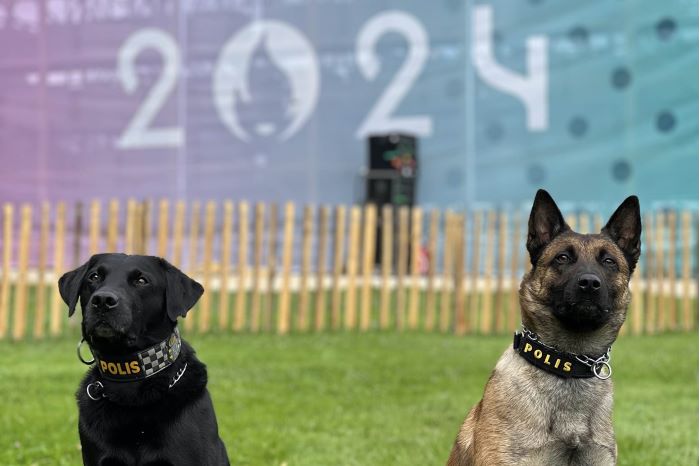 Två bombhundar sitter på gräsmattan framför en logga Paris 2024