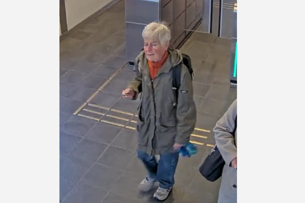 Bild på den kvinna som försvunnit i Rotebro.