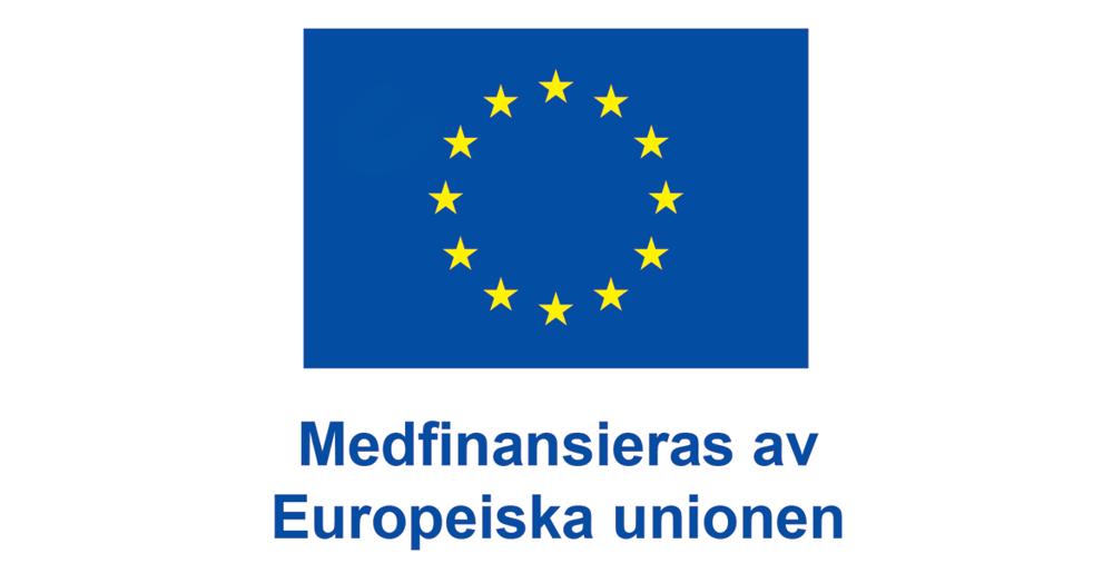Centrerad EU-logotyp med texten Medfinansieras av Europeiska unionen.