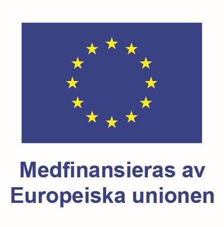 EU:s flagga med guldstjärnor mot blå botten samt texten "Medfinansieras av Europeiska unionen".